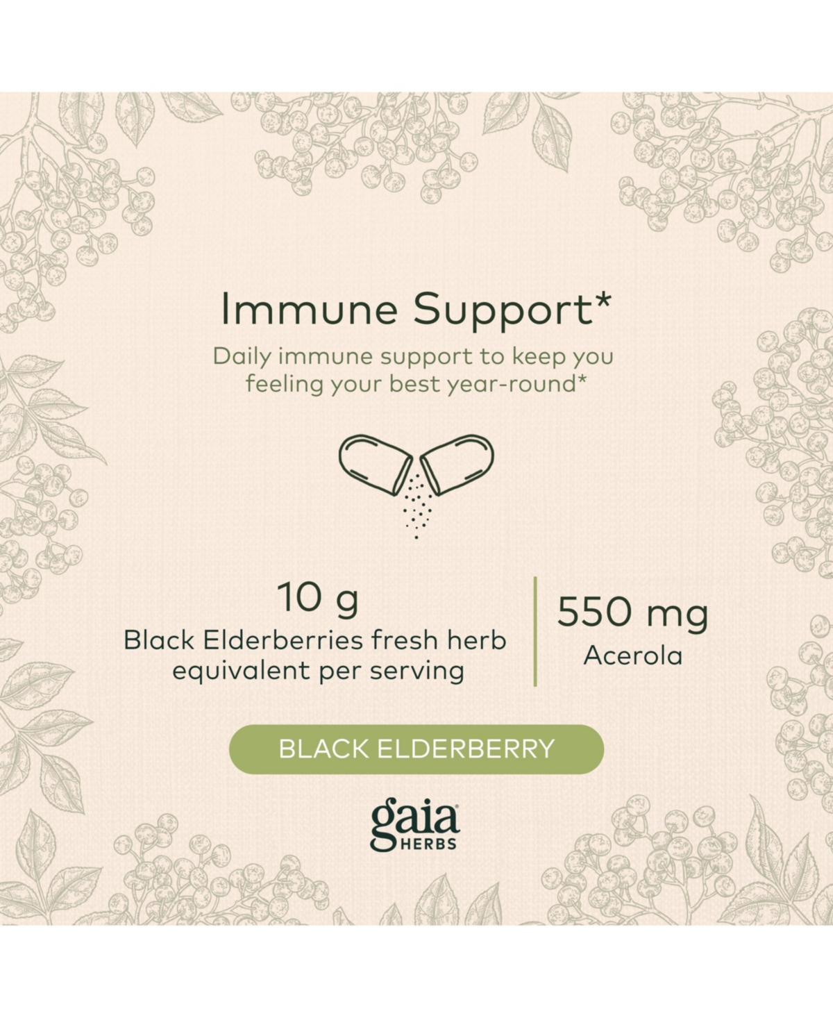 Gaia Herbs Black Elderberry