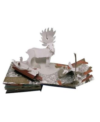 Winter's Tale- An Original Pop-Up Journey by Robert Sabuda