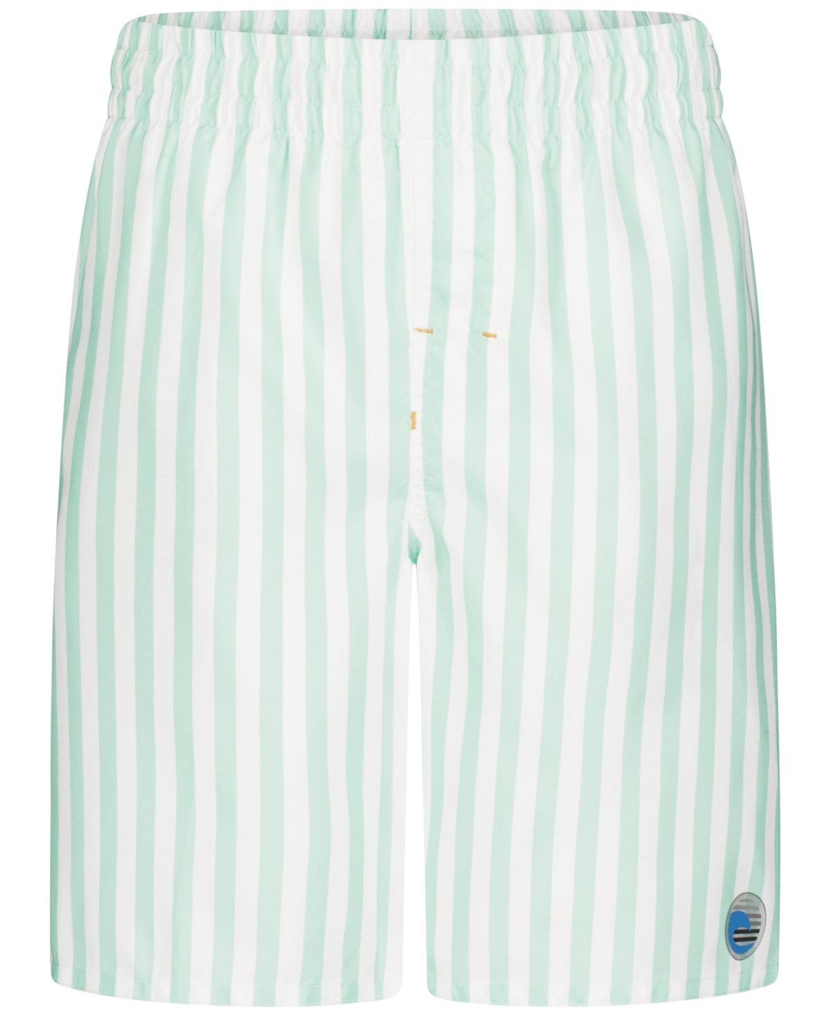 Laguna Big Boys Cabana Stripe Volley Swim Shorts