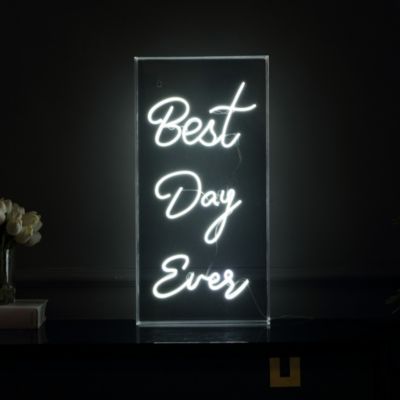 Best Day Ever USB LED Neon Light in Contemporary Glam Acrylic Box