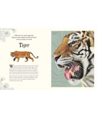 An Anthology of Intriguing Animals by DK