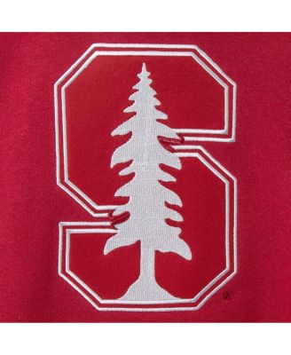 Women's Cardinal Stanford Cardinal Team Big Logo Pullover Hoodie