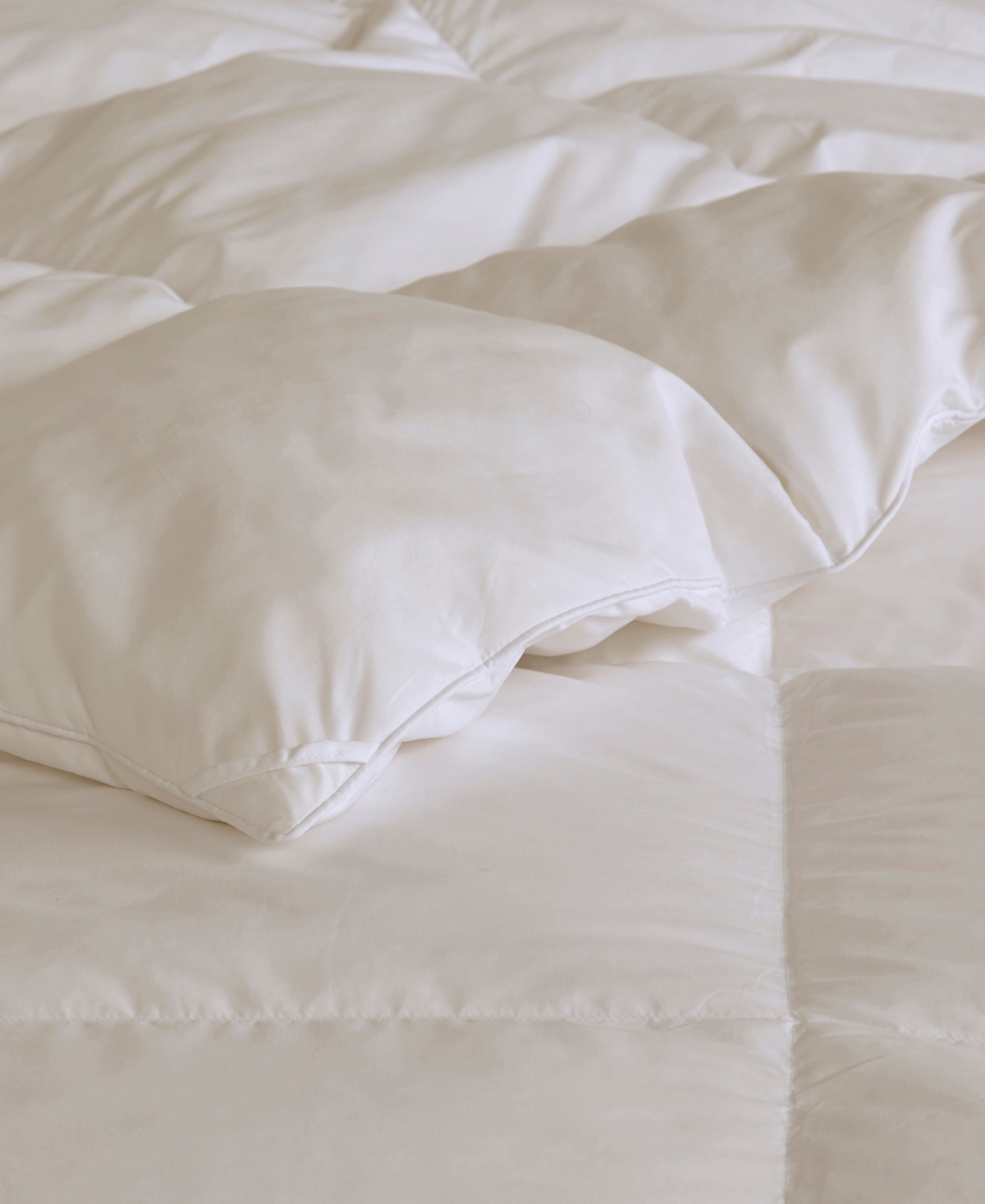 Sleep Philosophy Heavy Warmth Goose Feather & Goose Down Filling Comforter,,