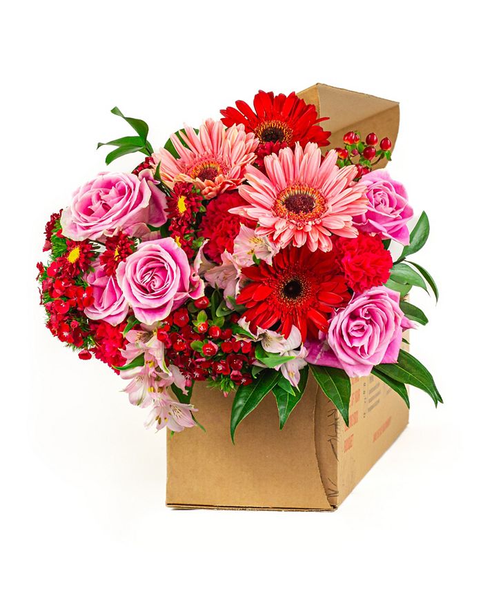 BloomsyBox Velvet Blush Fresh Flower Bouquet Macy's