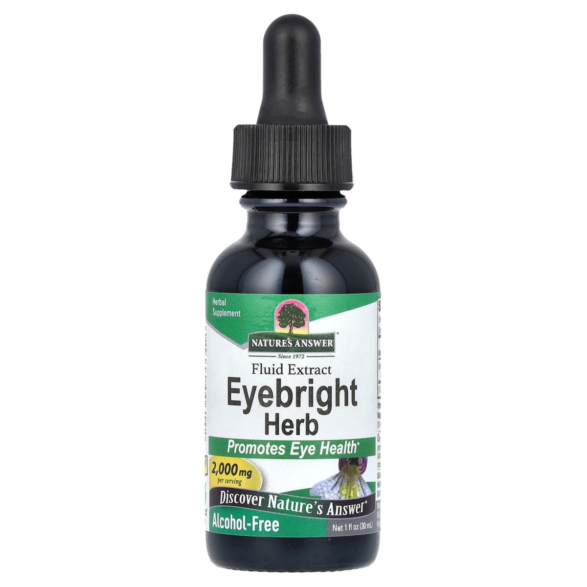 Eyebright Herb Fluid Extract Alcohol-Free 2 000 mg - 1 fl oz (30 ml) - Assorted Pre-Pack