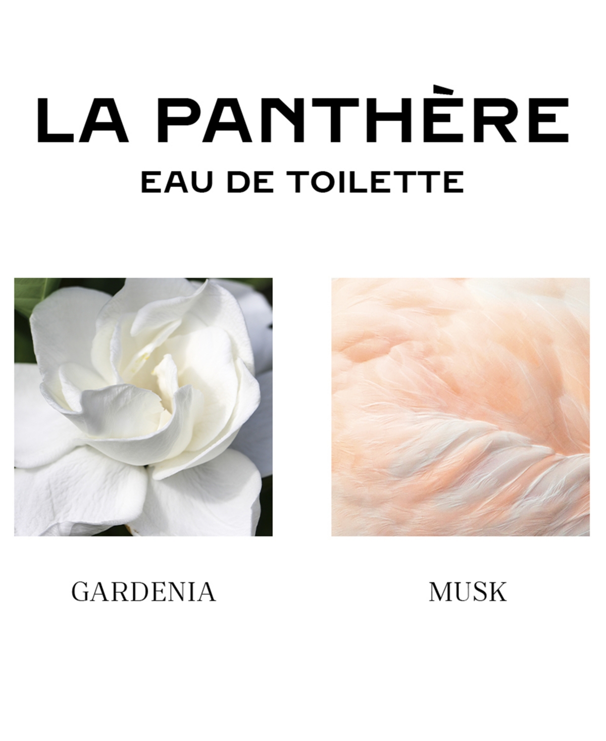 Shop Cartier La Panthere Eau De Toilette, 1.6 Oz. In No Color