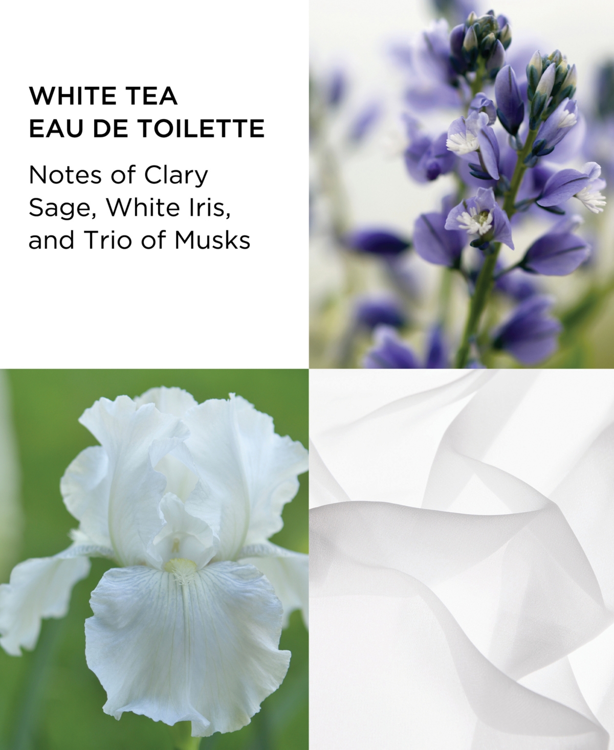 Shop Elizabeth Arden 2-pc. White Tea Eau De Toilette Gift Set In No Color