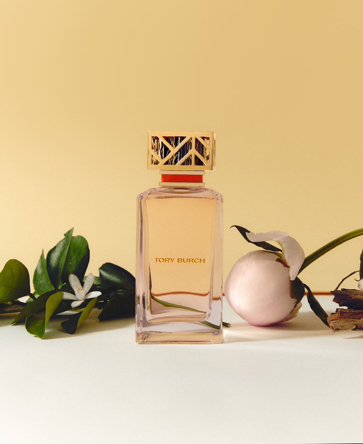 Shop Tory Burch 2-pc. Signature Eau De Parfum Gift Set In No Color