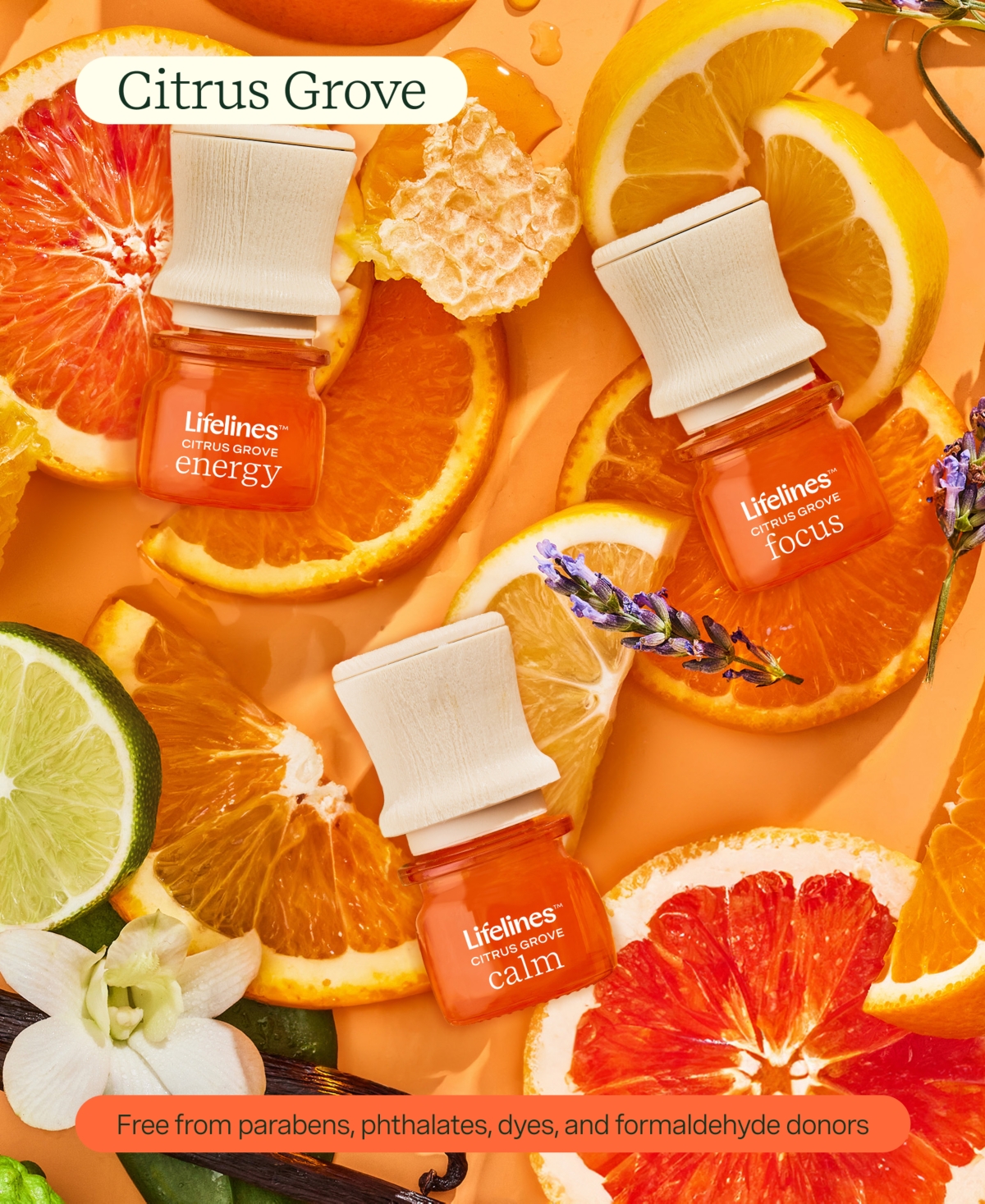 Lifelines Everyday Diffuser And Full Essential Oil Blends Collection In Multi Colored