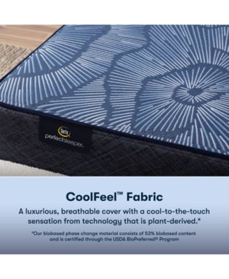 Perfect Sleeper Dazzling Night 12" Firm Hybrid Mattress Set, King