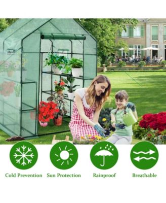 Walk-in Greenhouse 56 x 56 x 77 Inch Gardening with Observation Windows