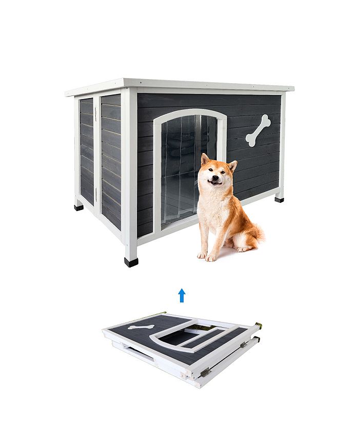 Jojo dog top kennel price