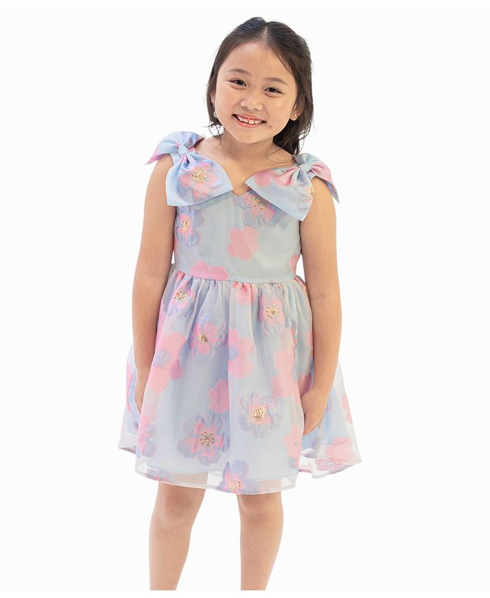Rare Editions Toddler Girls Burnout Organza Social Dress - Macy's