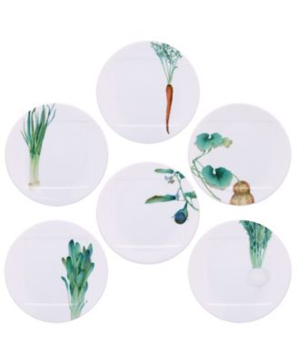 Kyoka Shunsai Set of 6 Assorted Appetizer Plates, 6"