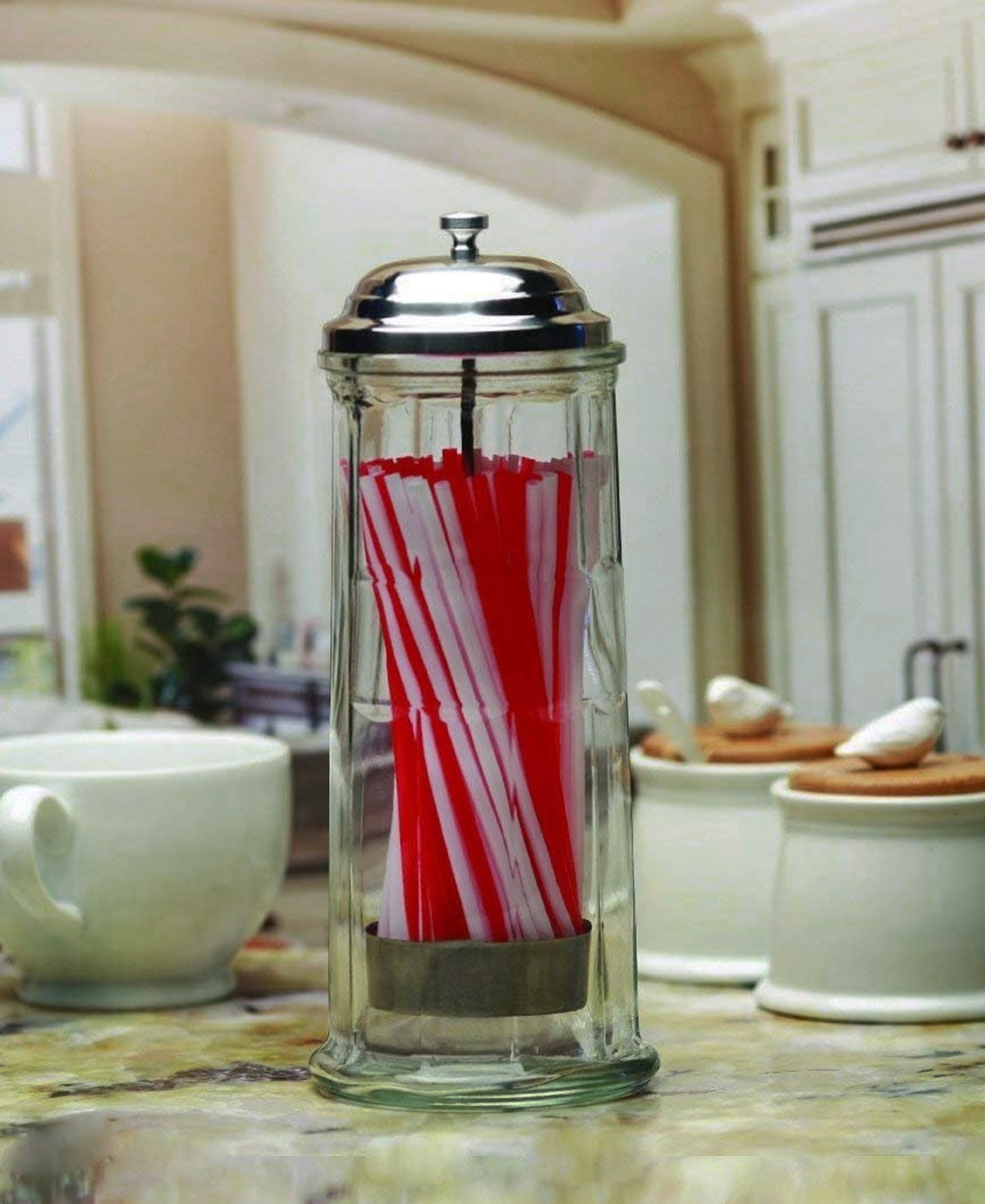 Circleware Clear Glass Straw Holder With Chrome Color Lid In Clear