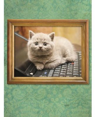 I Could Pee on This- And Other Poems by Cats Gifts for Cat Lovers, Funny Cat Books for Cat Lovers by Francesco Marciuliano