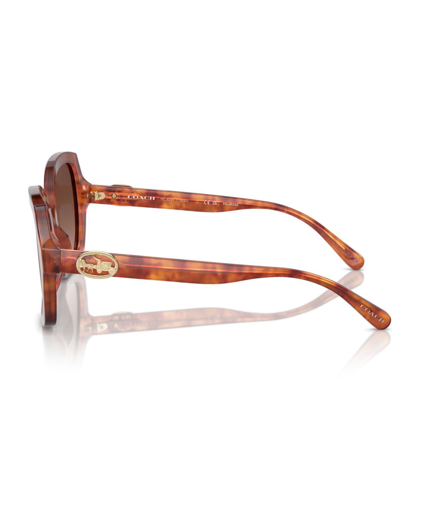 Женские солнцезащитные очки COACH Polarized Sunglasses, L1147 Hc8295, цвет: Карамельный черепаховый — фото 4