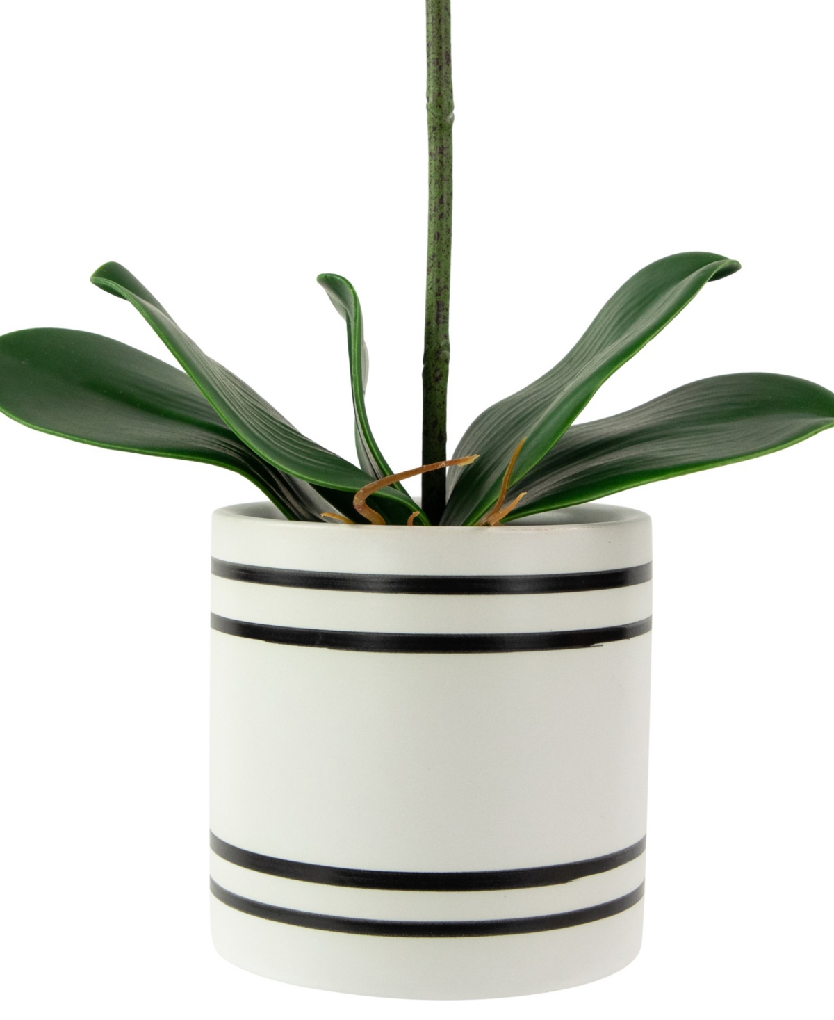 Shop Northlight 2" Artificial Spring Orchids In A Striped Ceramic Pot In Pink