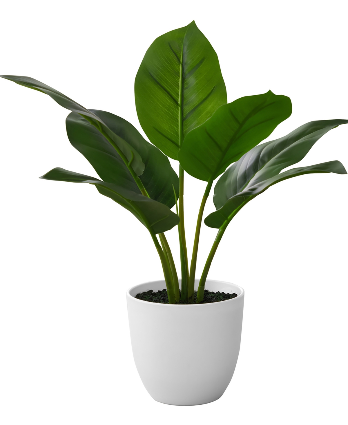 Monarch Specialties 17" Indoor Artificial Aureum Plant With Decorative White Pot In Green