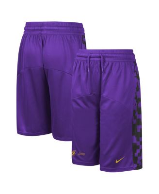 Boys purple nike shorts online