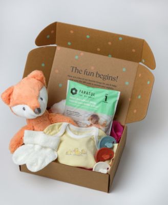 Baby Registry Welcome Box (For Baby Registrants Only)