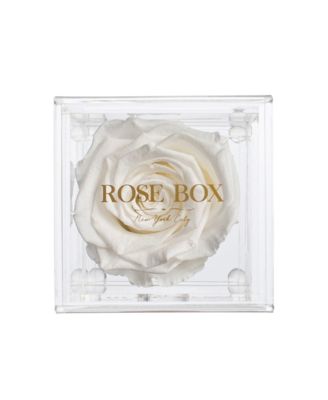 Jewelry box of Pure White Long Lasting Preserved Real Rose, 1 Rose