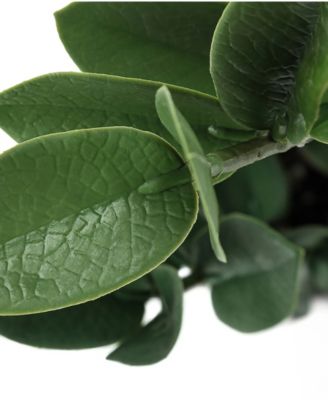 20" Indoor Artificial Zz Plant with Decorative Grey Cement Pot