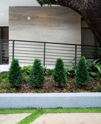 2.5ft. UV Resistant Artificial Cedar Plant with Integrated Ground Stake Indoor/Outdoor - Set of 2