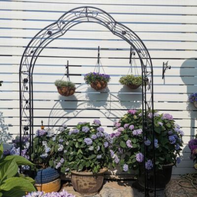 Flexible Metal Garden Arch for Various Events