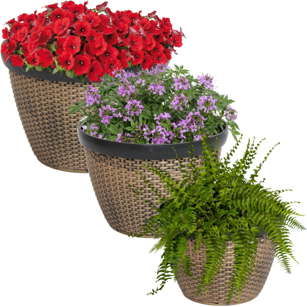 Sunnydaze Decor Resin Basketweave Outdoor Planter in, in, - Set of 3