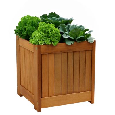 Meranti Wood 16-Inch Square Planter Box with Teak Oil Finish - Set of 2