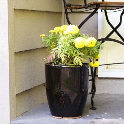 Indoor/Outdoor Captivating Vista Decorative Glazed Ceramic Planters for Greenery or Flowers - 11.5"