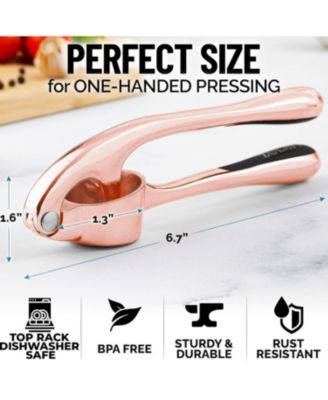 Premium Garlic Press Set - Rust Proof & Dishwasher Safe Professional Garlic Mincer Tool