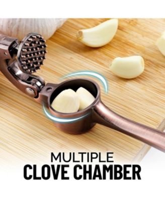 Premium Garlic Press Set - Rust Proof & Dishwasher Safe Professional Garlic Mincer Tool