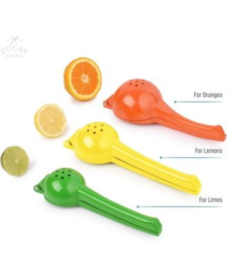 Single Bowl Metal Citrus Juicer Hydration Nation Orange Squeezer