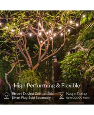 Ambience Pro 26 ft. LED Indoor/Outdoor Plug-In String Lights with Soft White Hue