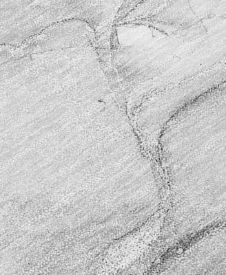 Chantille Machine Washable ACN516 8'x10' Area Rug