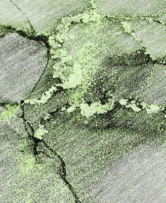 Chantille Machine Washable ACN520 8'x10' Area Rug