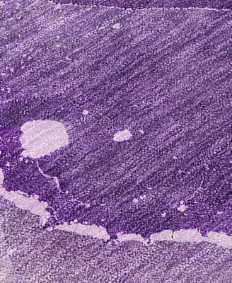 Chantille Machine Washable ACN522 9'x12' Area Rug