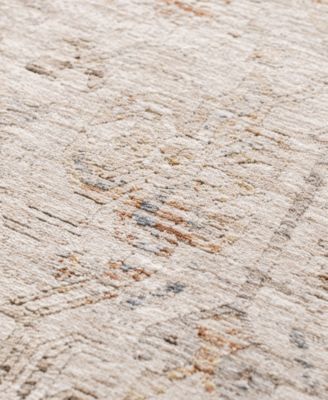 Vienna VI4 2'3x7'10 Runner Area Rug