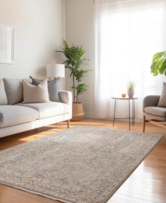 Cyprus CY7 3'x5' Area Rug