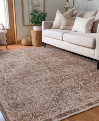Vienna VI7 3'x5' Area Rug