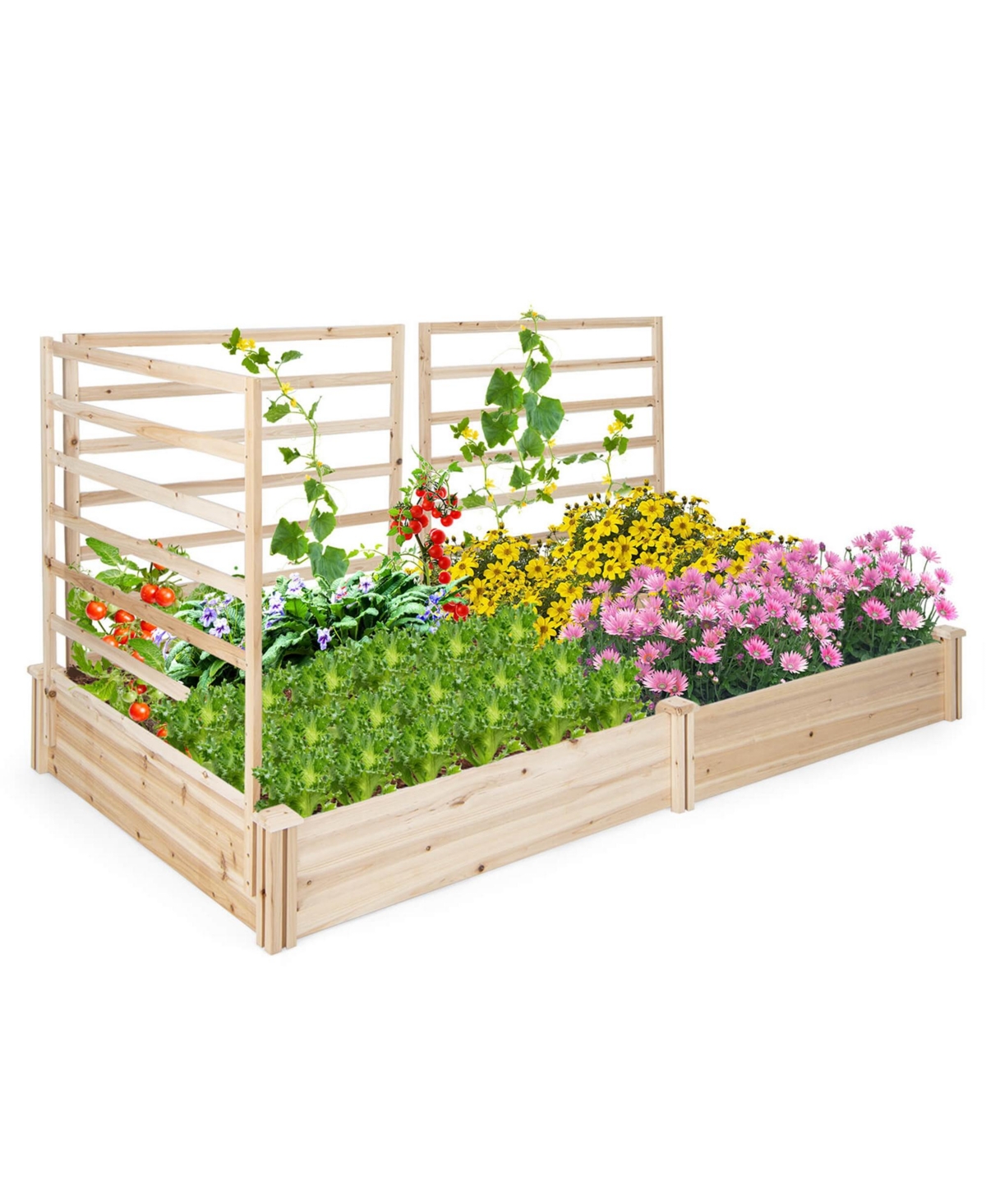 Raised Garden Bed with 3 Trellises with Divided Compartments for Flowers - Natural