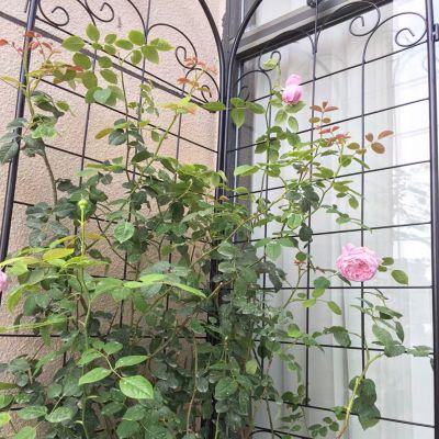 Streamdale Rustproof Rose Trellis for Climbing Plants 86.7"x19.7"