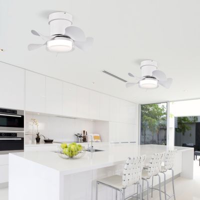 21" Ceiling Fan with Remote Control & Light