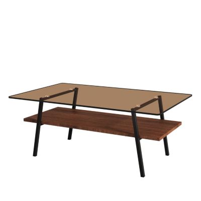 Modern Brown Glass Coffee Table