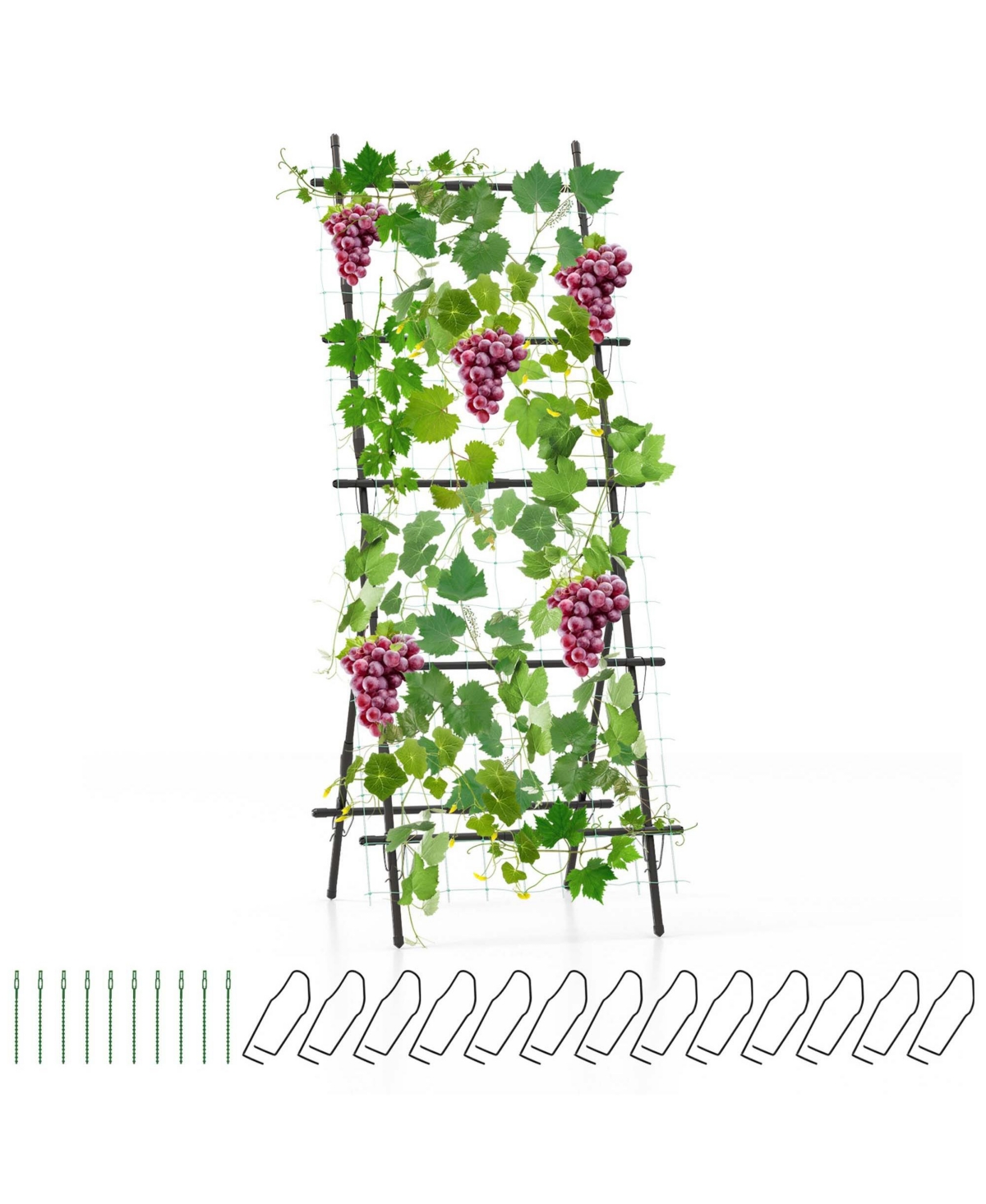 74" Garden Cucumber Trellis for Plant Climbing with Pe-Coated Frame, Trellis Net - Black