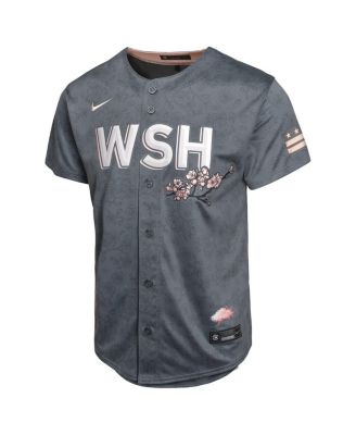Nike Big Boys and Girls C.J. Abrams Charcoal Washington