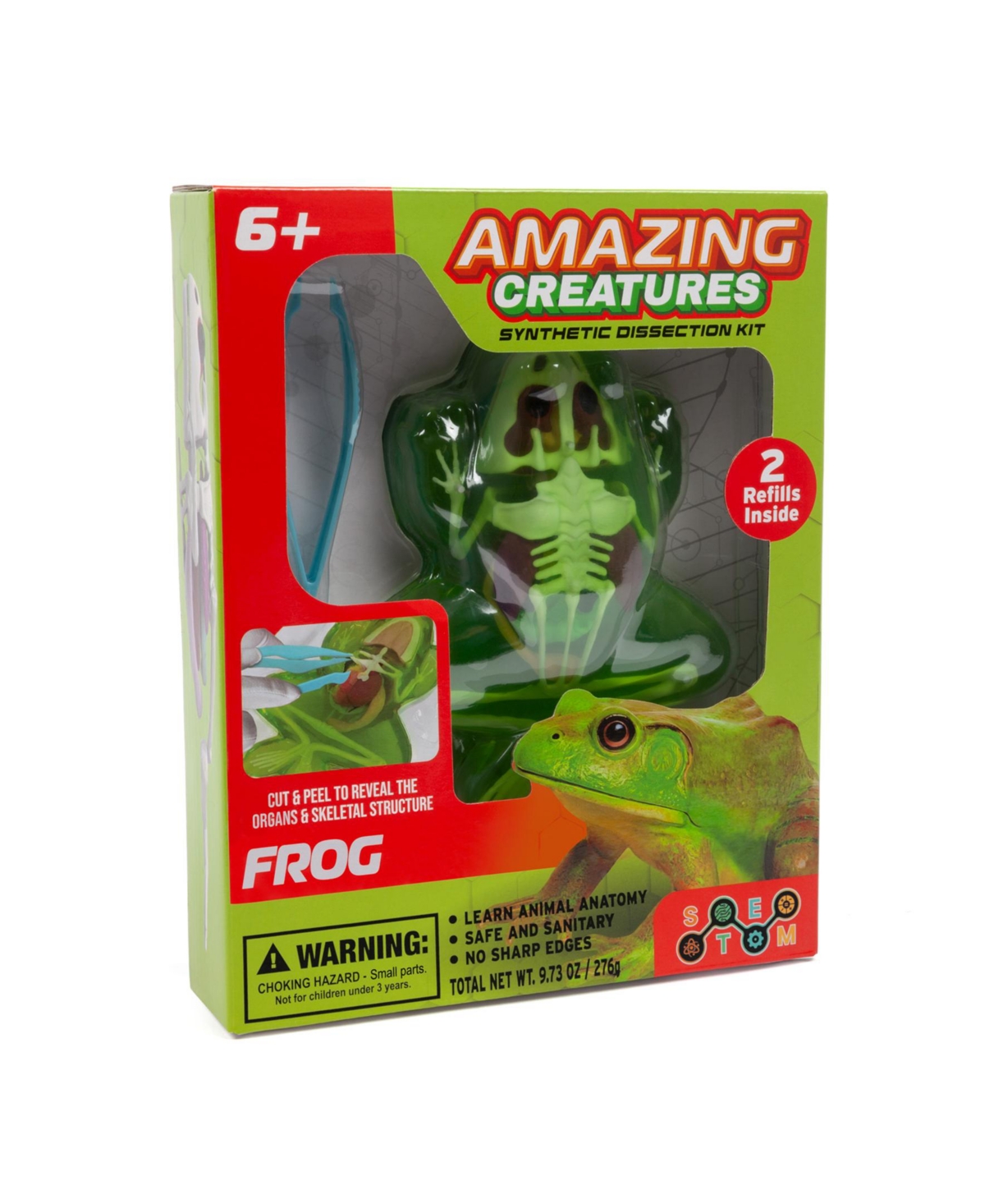 World Tech Toys Amazing Creatures Synthetic Dissection Kit In Multi