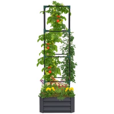 Galvanized Raised Garden Bed w/ Tomato Cage